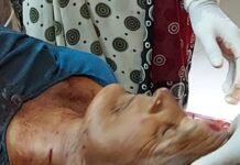 आष्टीत बिबट्याची दहशत कायम ; पारगावात वृध्द महिलेवर हल्ला