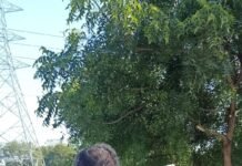 आष्टीत पुन्हा वृध्द शेतकर्यावर बिबट्याचा हल्ला