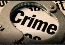 सॉयबीनने भरलेला ट्रक केला चालकाने गायप