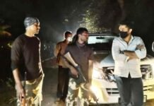 करमाळा तालुक्यात पुन्हा बिबट्याचा हल्ला