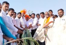 प्रा. सचिन गायवळ यांच्या वाढदिवसानिमित्त गो – शाळेत चारा वाटप