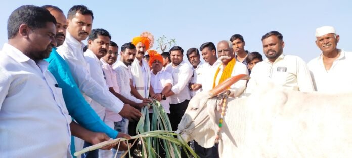 Picsart_22-01-29_12-23-26-011