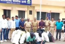 नगरचा ‘पुष्पा’ पोलिसांच्या जाळ्यात, ३७० किलो चंदनासह पोलीसांनी केली अटक