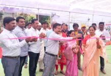 बचत गटाच्या माध्यमातून महीलांच्या हाताला काम देणार – सुनंदाताई पवार