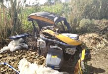 कंटेनर-रिक्षाच्या धडकेत ६ जणांचा मृत्यू तर ४ गंभीर जखमी