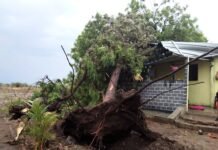 पाटोदा व भवरवाडी परीसरात वादळी पावसाने घरांचे नुकसान