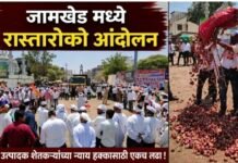 जामखेडमध्ये राष्ट्रवादी काँग्रेस व कांदा उत्पादक शेतकऱ्यांकडून रास्ता रोको आंदोलन