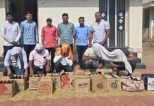 जामखेडमध्ये अवैध दारू विक्रीवर मोठी कारवाई; पाच ठिकाणी छापे