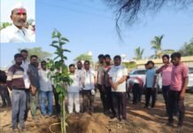 बांधखडक येथे अस्थी विसर्जित एवजी वृक्षरोपण करत दिला सामाजिक संदेश