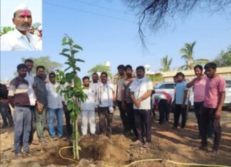 बांधखडक येथे अस्थी विसर्जित एवजी वृक्षरोपण करत दिला सामाजिक संदेश