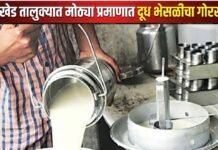 जामखेडसह तालुक्यात दुधातील भेसळीचा विळखा