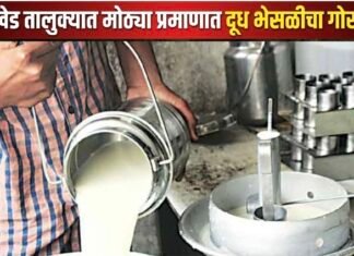 जामखेडसह तालुक्यात दुधातील भेसळीचा विळखा