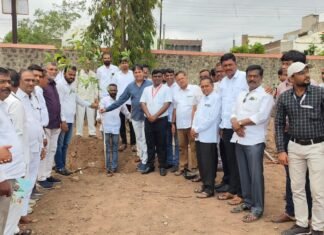 पर्यावरणाचा समतोल राखण्यासाठी वृक्षारोपण व संवर्धन करणे आवश्यक – दिलीप तिजोरे