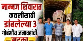 जामखेड तालुक्यातील नान्नज शिवारात कत्तलीसाठी डांबलेल्या ३ गोवंशीय जनावरांची सुटका