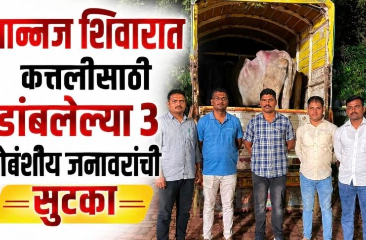 जामखेड तालुक्यातील नान्नज शिवारात कत्तलीसाठी डांबलेल्या ३ गोवंशीय जनावरांची सुटका